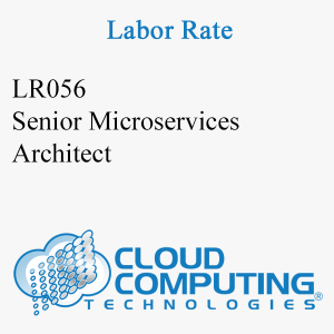 Senior Microservices Architect