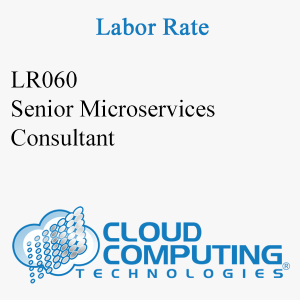 Senior Microservices Consultant