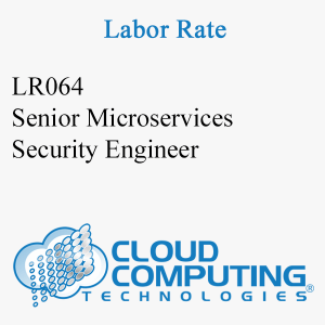 Senior Microservices Security Engineer
