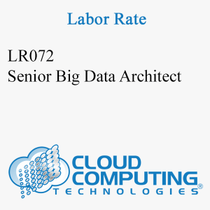 Senior Big Data Architect
