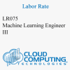 Machine Learning Engineer III