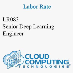Senior Deep Learning Engineer
