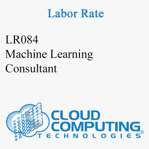 Machine Learning Consultant