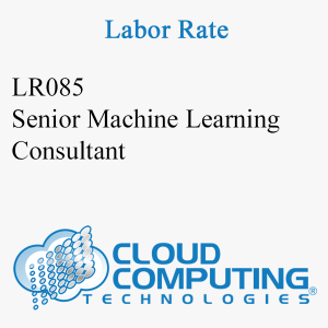 Senior Machine Learning Consultant