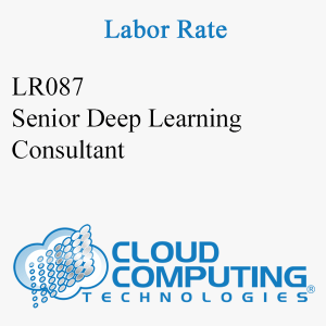 Senior Deep Learning Consultant