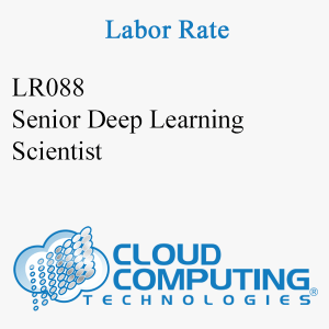 Senior Deep Learning Scientist