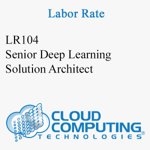 Senior Deep Learning Solution Architect
