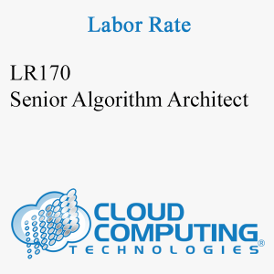 Senior Algorithm Architect