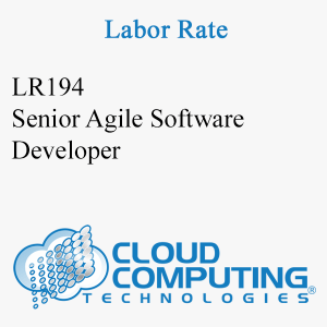 Senior Agile Software Developer
