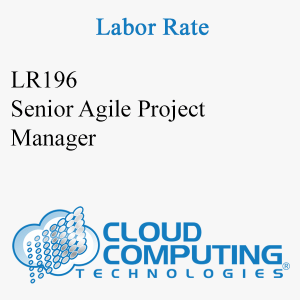 Senior Agile Project Manager