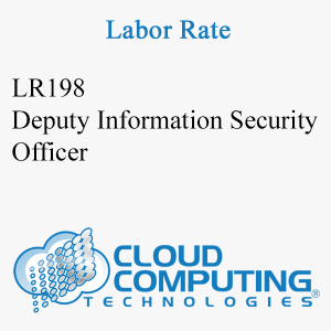 Deputy Information Security Officer