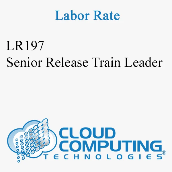 Senior Release Train Leader