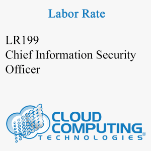 Chief Information Security Officer
